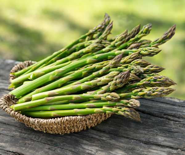 Asparagus - Mary Washington Seeds