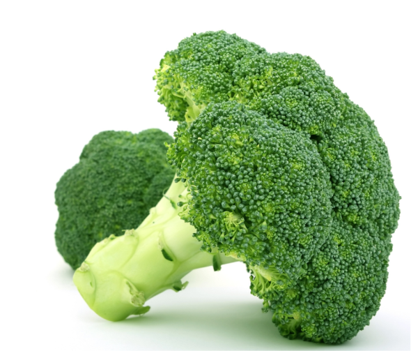 Broccoli - Albert