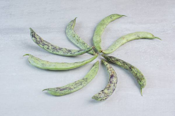 Runner Bean Scarlet Emperor Seeds