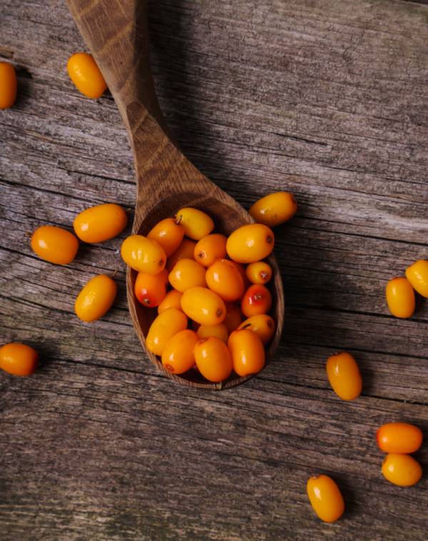 Sea Buckthorn Seeds