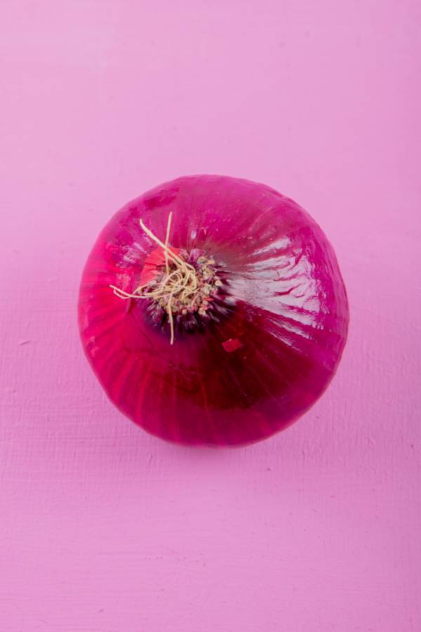 Shallot Figaro Echalion Seeds
