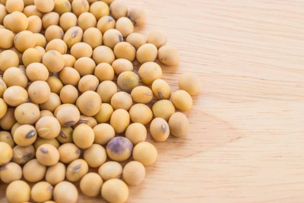 Soybean Seeds