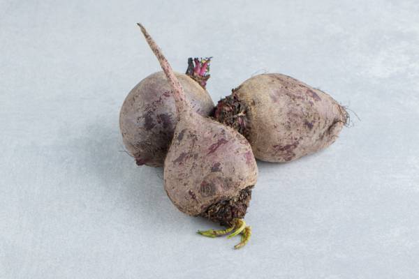 Sugar Beet Seeds