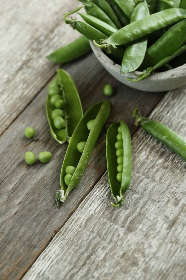 Sugarsnap Pea Cascadia Seeds