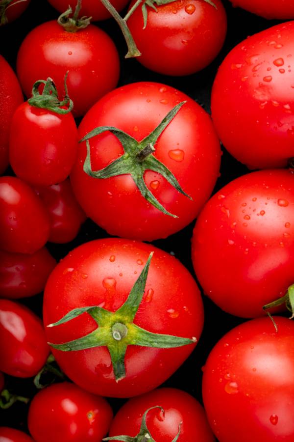 Tomato Daydream Seeds