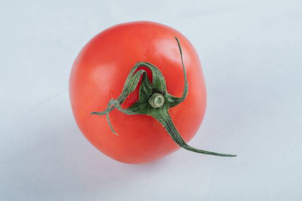 Tomato Kotlas Seeds