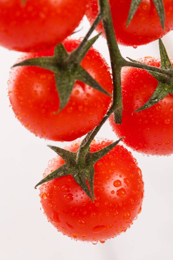 Tomato Rouge De Marmande Seeds