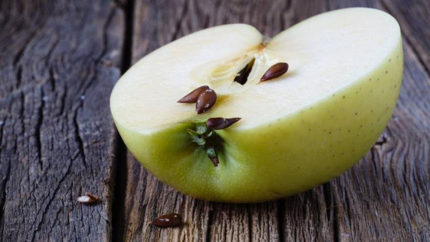 Apple seeds