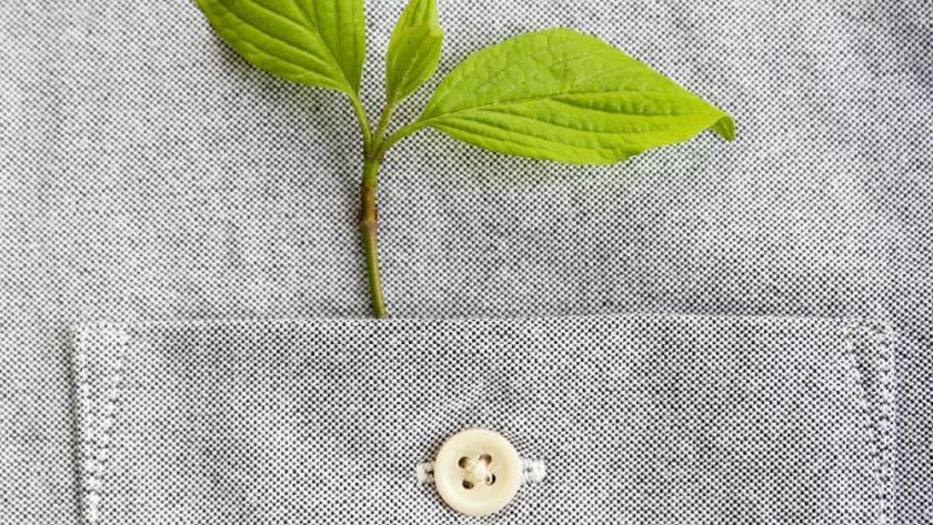Seeds clothing
