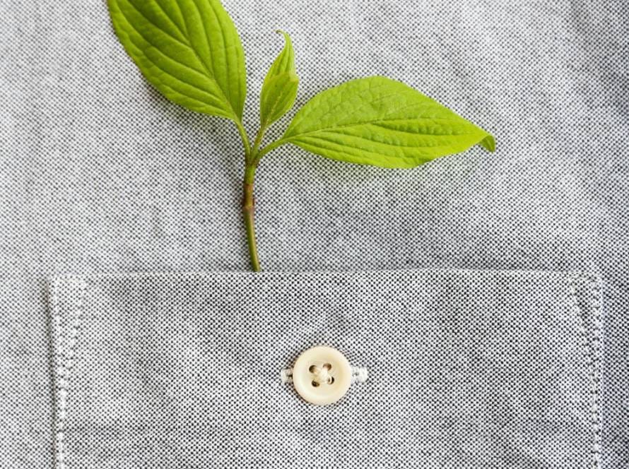 Seeds clothing