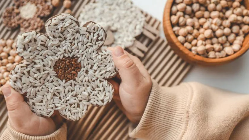 seeds high in protein