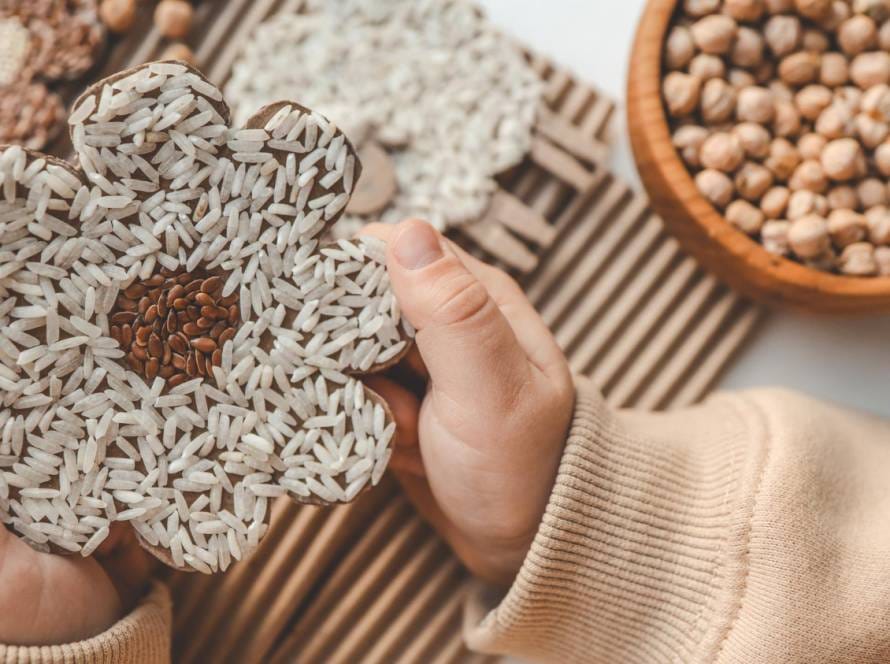 seeds high in protein