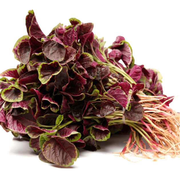 Amaranth - Red Leaf Seeds