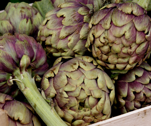 Artichoke - Purple of Romagna Seeds