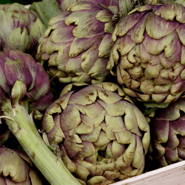 Artichoke - Purple of Romagna Seeds