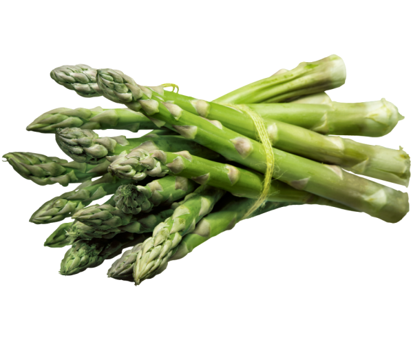 Asparagus - Connover's Colossal