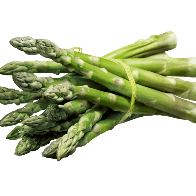 Asparagus - Connover's Colossal