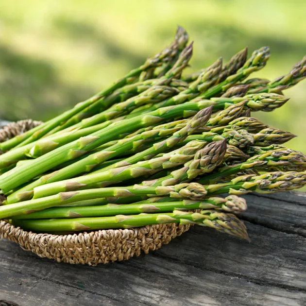 Asparagus - Mary Washington Seeds