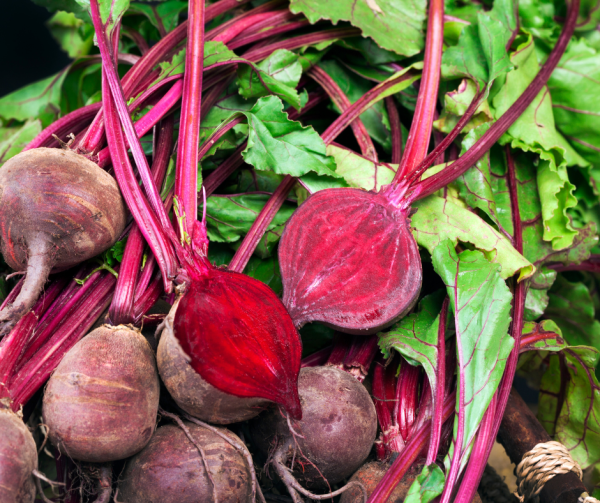 Beetroot - Bulls Blood Seeds