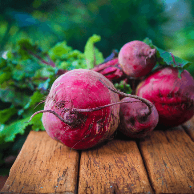 Beetroot - Detroit Seeds