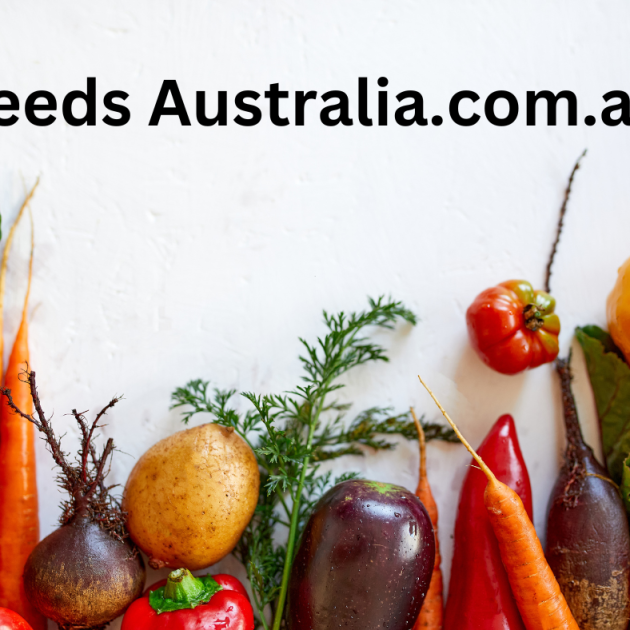 Beetroot - Early Wonder Seeds