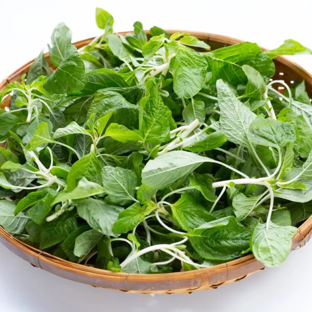 Amaranth - Green Leaf Seeds