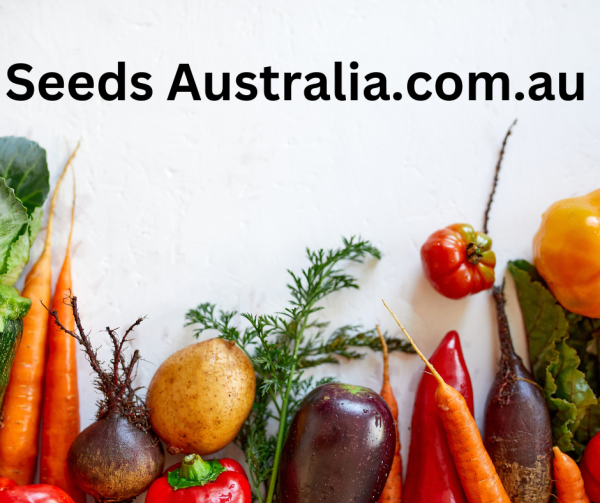 Beetroot - White Seeds