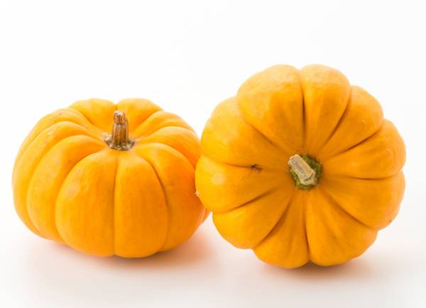 Pumpkin Spookie Seeds