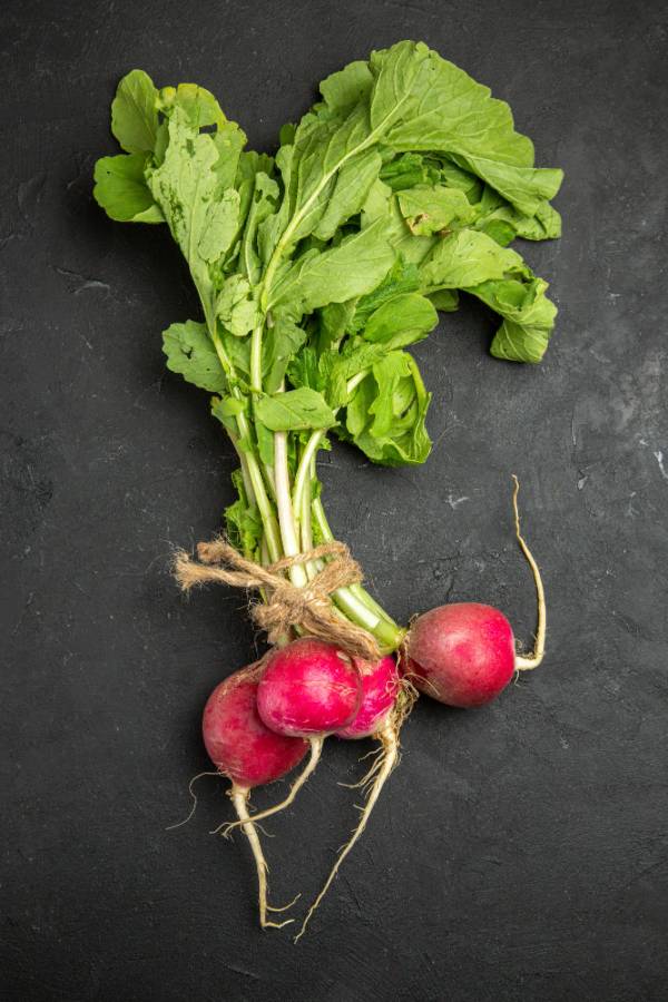 Radish Champion Seeds