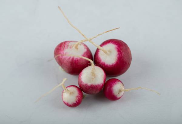 Radish Confetti Mix Seeds