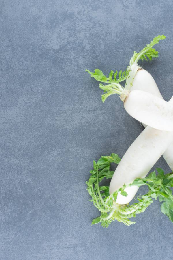 Radish Long White Chinese Seeds