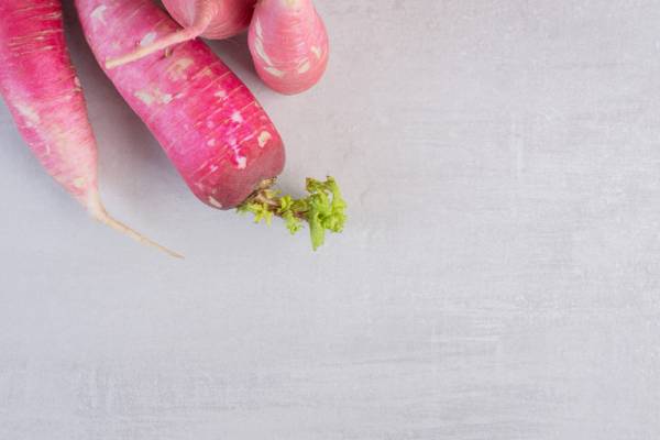 Radish Pink Celebration Seeds