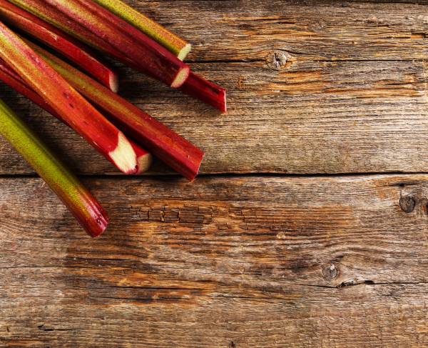 Rhubarb Lider Red Seeds