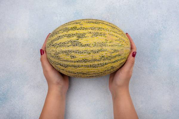 Rockmelon Eden's Gem Seeds