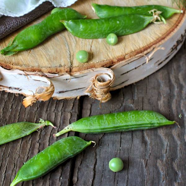 Shelling Pea Greenfeast Seeds