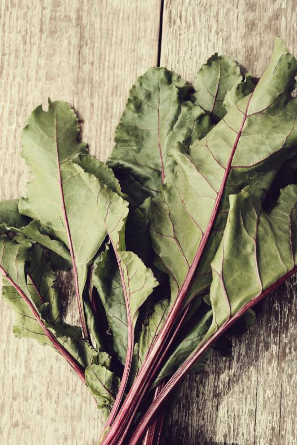 Silverbeet Rainbow Chard Seeds