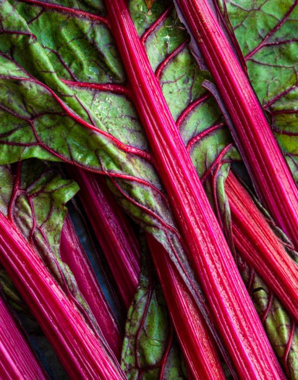 Silverbeet Ruby Red Seeds