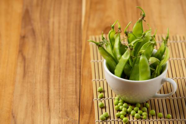 Snow Pea Mammoth Melting Seeds