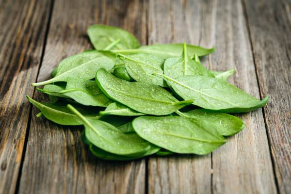 Sorrel Seeds