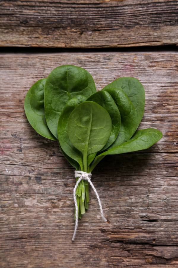 Spinach Summer Jade Seeds