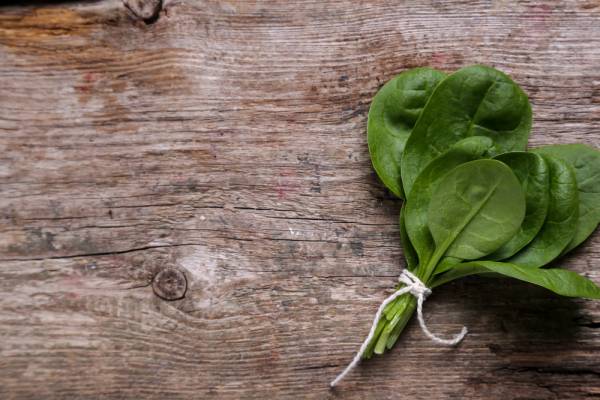 Spinach Winter Giant Seeds