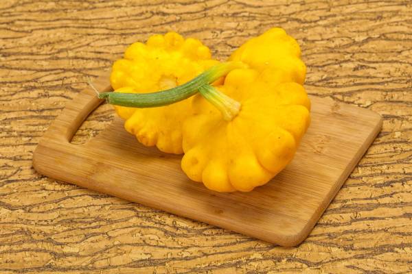 Summer Squash Golden Scallopini Seeds