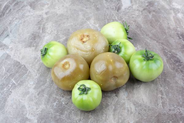 Tomatillo Verde Puebla Seeds