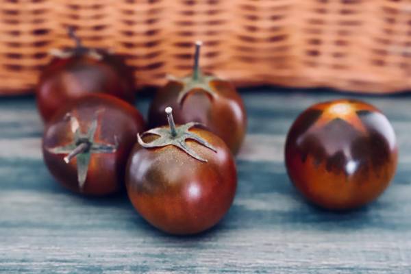 Tomato Black Russian Seeds