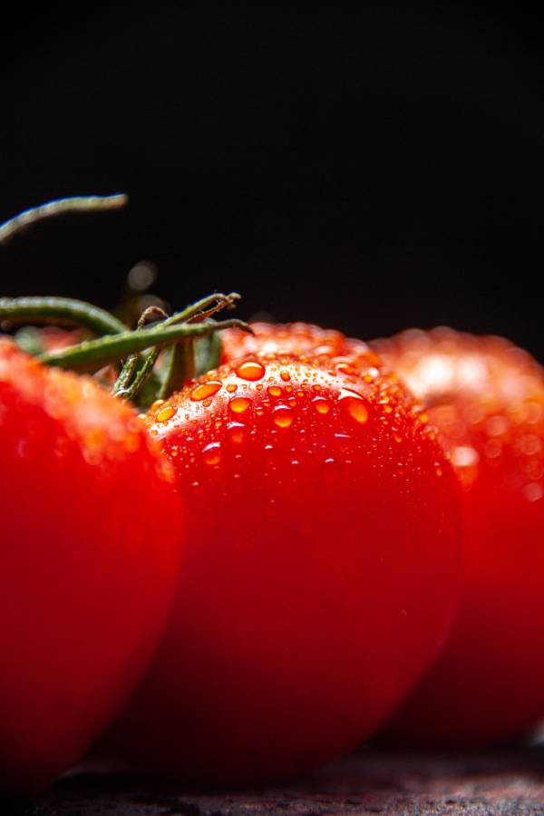 Tomato Ice Seeds