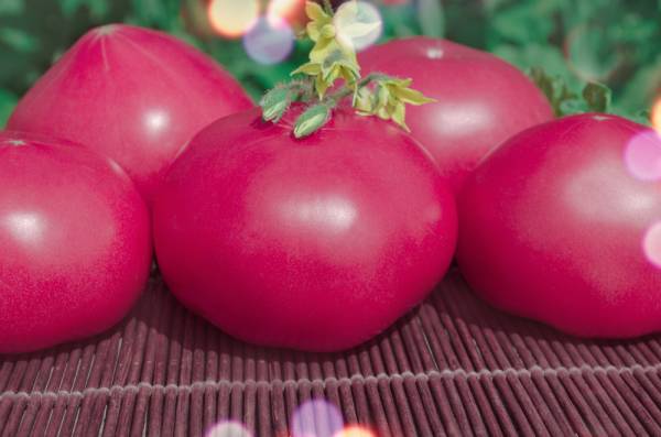 Tomato Oxheart Pink Seeds