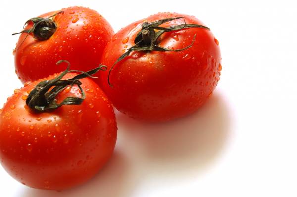 Tomato Red Boar Seeds