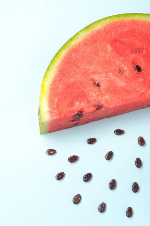 Watermelon Cekirdegi Oyali Seeds