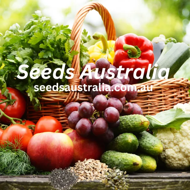 Heal All Seeds