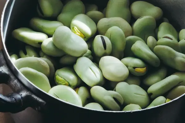 Winged Bean Seeds